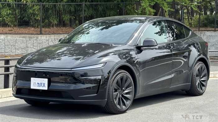 2026 Tesla Motors Others