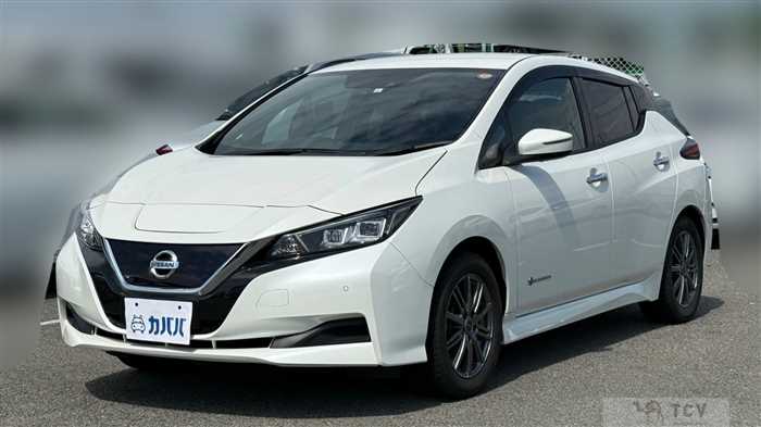 2021 Nissan Leaf