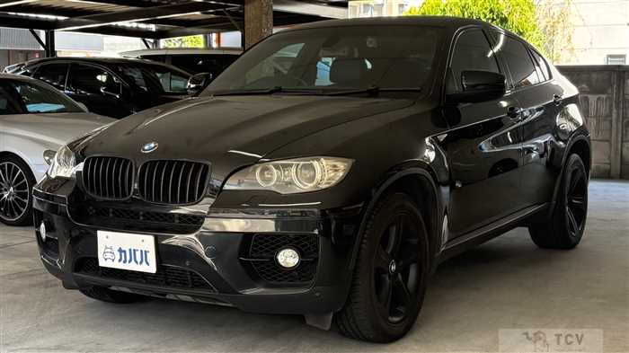 2009 BMW X6