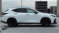 2025 Lexus NX