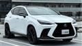 2025 Lexus NX