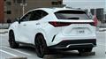2025 Lexus NX