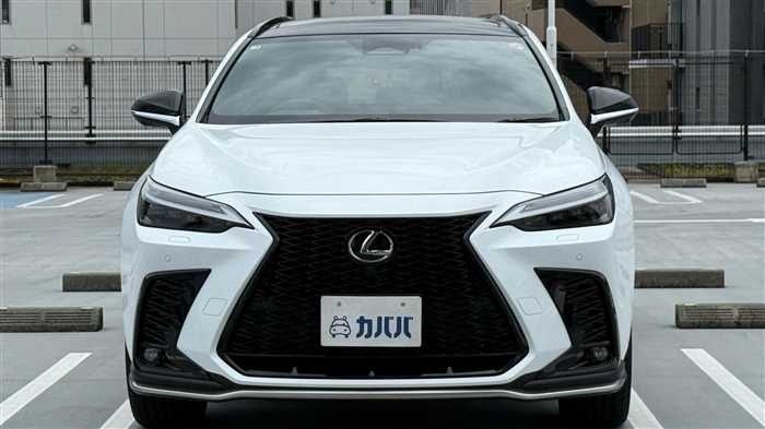 Lexus NX 2025 — фото 3 купить в Москве