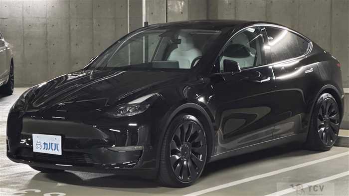 2024 Tesla Motors Others