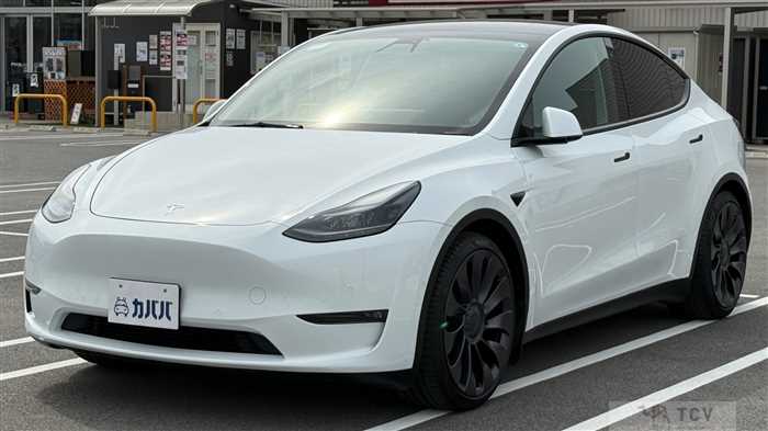 2023 Tesla Motors Others