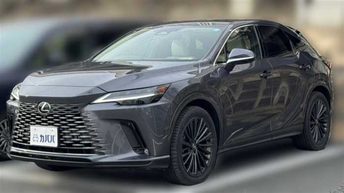 Lexus RX 350h L 4WD 2024 — миниатюра 2