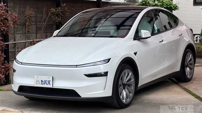 2025 Tesla Motors Others