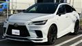 2025 Lexus RX