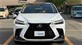 2024 Lexus NX