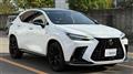 2024 Lexus NX