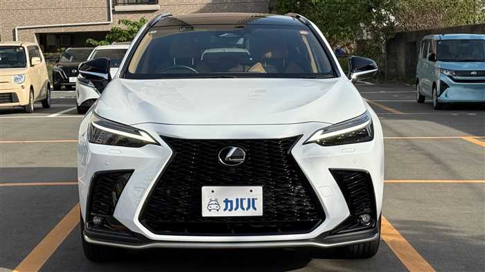 Lexus NX 350h F 2024 — миниатюра 3