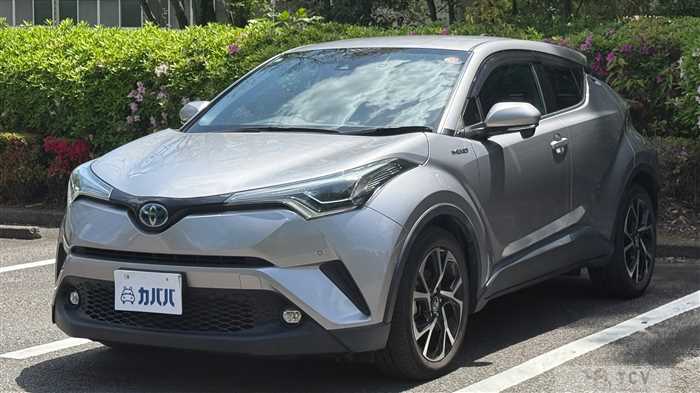 2019 Toyota C-HR