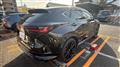2025 Lexus NX