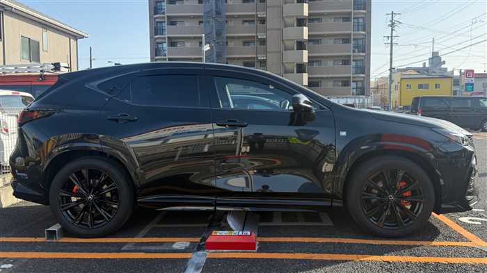 Lexus NX 2025 — фото 4 купить в Москве