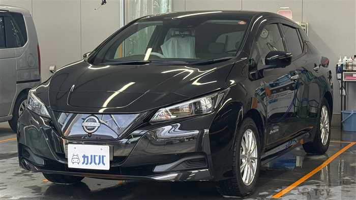 2022 Nissan Leaf