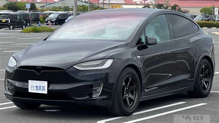 2017 Tesla Motors Others