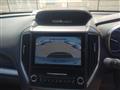 2019 Subaru Subaru Others