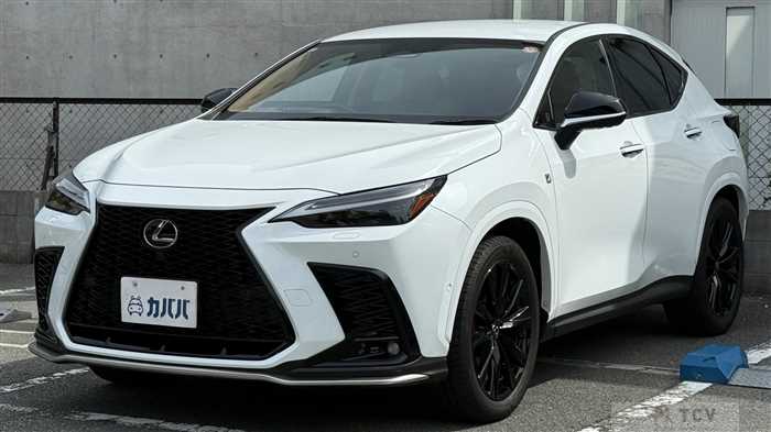 2024 Lexus NX
