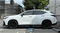 2024 Lexus NX