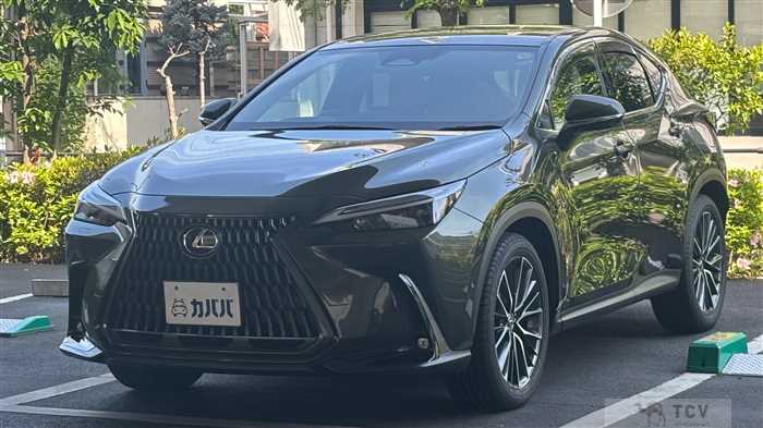 2023 Lexus NX