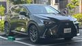 2023 Lexus NX