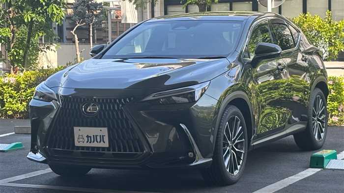 Lexus NX 350h L 2023 — миниатюра 2