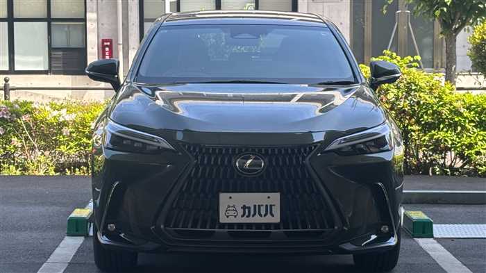 Lexus NX 350h L 2023 — миниатюра 3