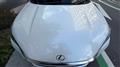 2025 Lexus Other
