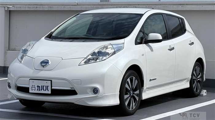 2014 Nissan Leaf