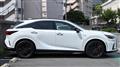 2025 Lexus RX