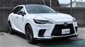 2025 Lexus RX