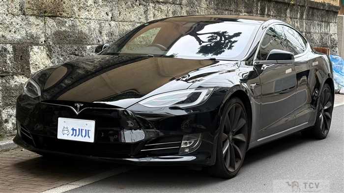2017 Tesla Motors Others
