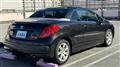 2007 Peugeot 207