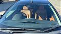 2007 Peugeot 207