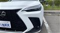 2023 Lexus NX