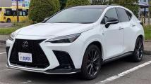 2023 Lexus NX