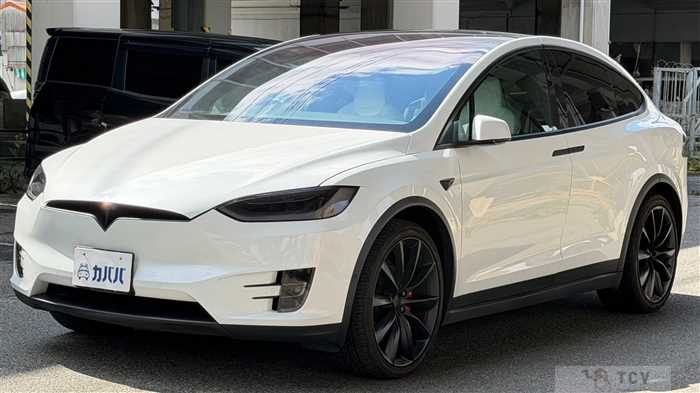 2020 Tesla Motors Others