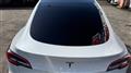2022 Tesla Motors Others