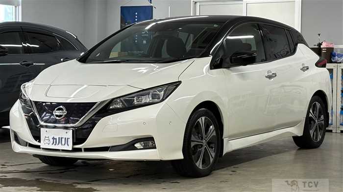 2017 Nissan Leaf
