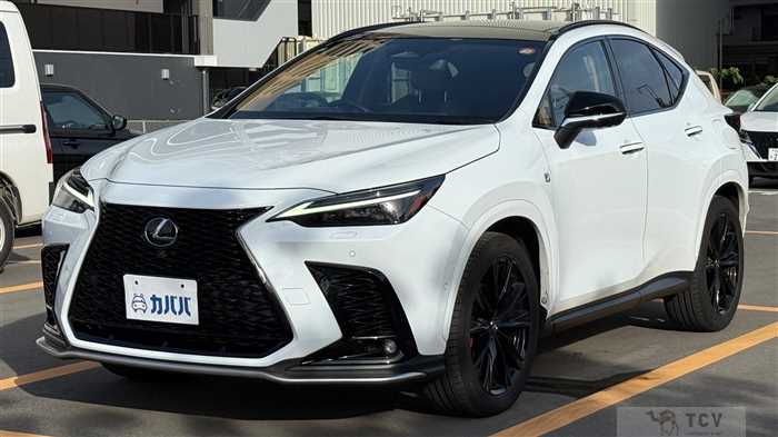 2024 Lexus NX
