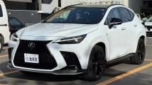 2024 Lexus NX