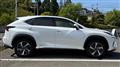 2019 Lexus NX