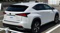 2019 Lexus NX