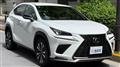 2021 Lexus NX