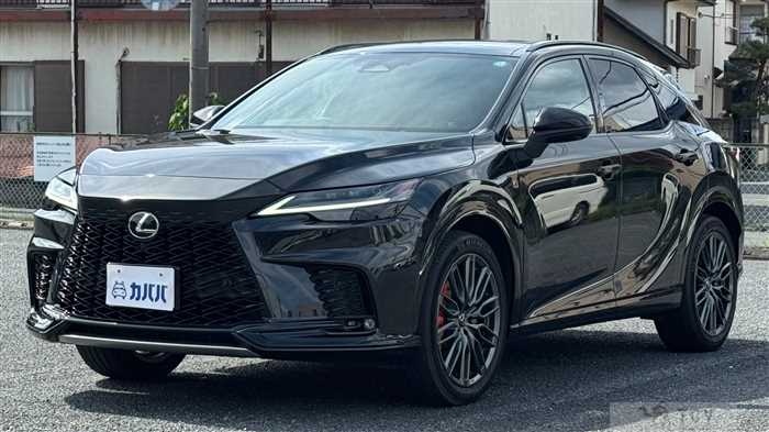 2024 Lexus RX
