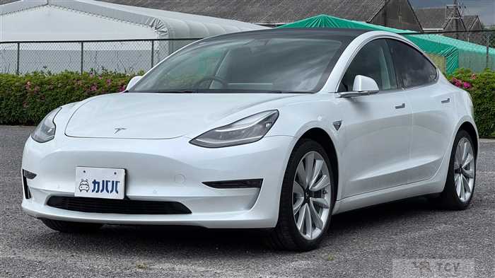 2020 Tesla Motors Others