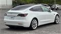 2020 Tesla Motors Others