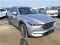 2019 Mazda CX-8