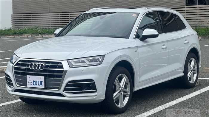2019 Audi Q5