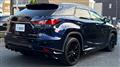 2020 Lexus RX